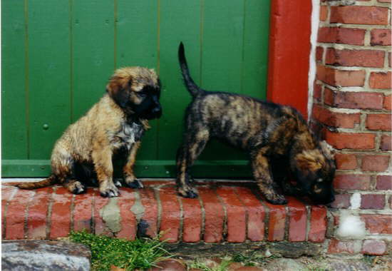 Meine Schwester und mein Bruder.